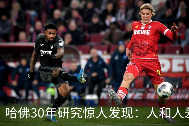 哈佛30年研究惊人发现：人和人差距，根本不是努力，是吃哪种苦
